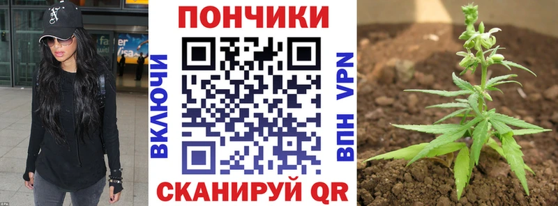Наркошоп Хасавюрт СК  Марихуана  COCAIN 