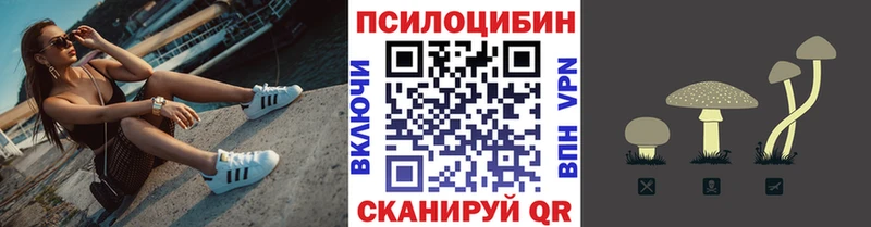 купить наркотики цена  Хасавюрт  Псилоцибиновые грибы мухоморы 